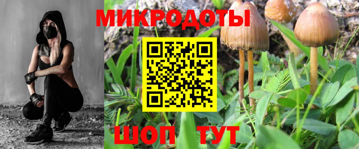 Псилоцибиновые грибы мухоморы Серпухов