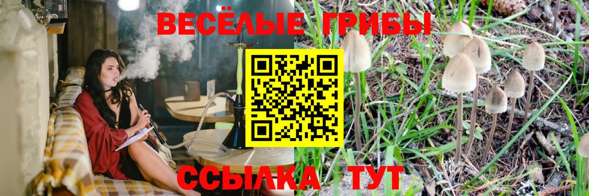 Серпухов  Галлюциногенные грибы Cubensis  даркнет сайт  Вход с VPN 